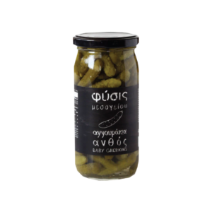 ΦΥΣΙΣ ΑΓΓΟΥΡΑΚΙΑ ΤΟΥΡΣΙ