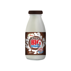 CHOCO BIG ΣΟΚΟΛΑΤΟΥΧΟ ΓΑΛΑ 500ML