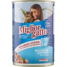 MIGLIOR GATTO ΚΟΝΣΕΡΒΑ ΓΑΤΑΣ ΜΠΟΥΚΙΕΣ