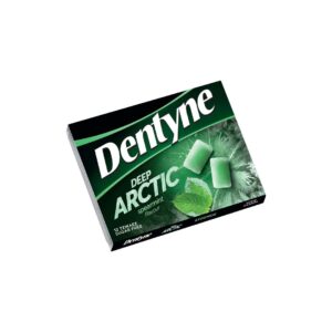 DENTYNE ARCTIC SPEARMINT SUGAR FREE 16,8GR