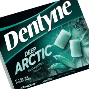 DENTYNE ARCTIC EUCALYPTUS SUGAR FREE 16.8GR