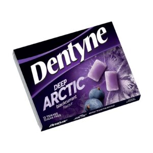 DENTYNE ARCTIC BLACKCURRANT SUGAR FREE 16,8GR